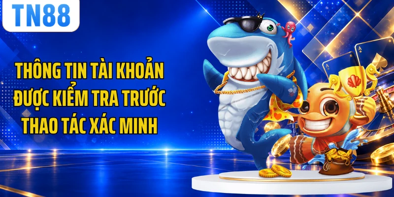 Thông tin tài khoản được kiểm tra trước thao tác xác minh