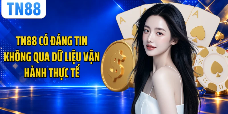 TN88 có đáng tin không qua dữ liệu vận hành thực tế